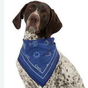 New Arcadia Trail Icons high Visibility Dog Bandana M/L